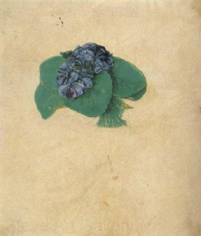 Albrecht Durer A Nosegay of Violets France oil painting art